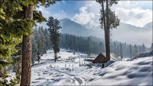 places to visit in India: Kashmir