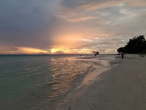 Best Time to Visit Andaman and Nicobar Islands