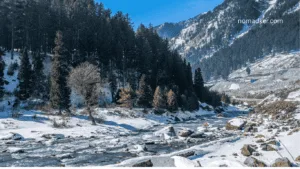 Top 10 Winter Holiday Destinations in India (2025)