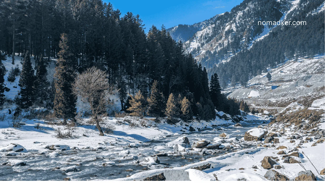 Top 10 Winter Holiday Destinations in India (2025)